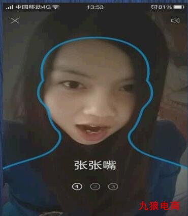 动作验证图